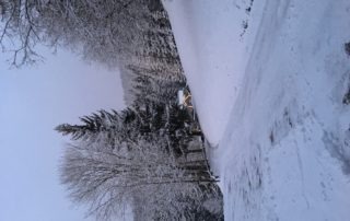 4C705C4B-B6FC-4B5D-A8B4-D08BC68831DA